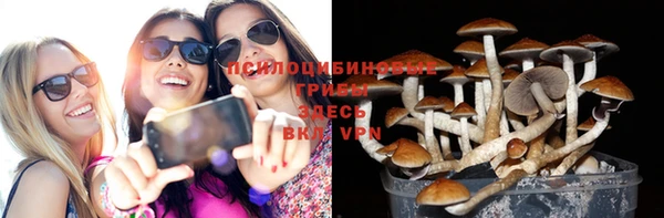 a pvp Богородск