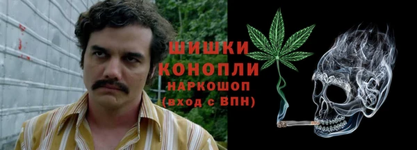 ПСИЛОЦИБИНОВЫЕ ГРИБЫ Богданович