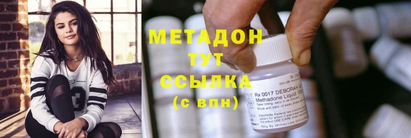 ПСИЛОЦИБИНОВЫЕ ГРИБЫ Богданович