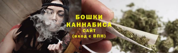 ALPHA PVP Богородицк