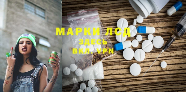 ПСИЛОЦИБИНОВЫЕ ГРИБЫ Богданович