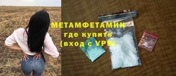 ПСИЛОЦИБИНОВЫЕ ГРИБЫ Богданович