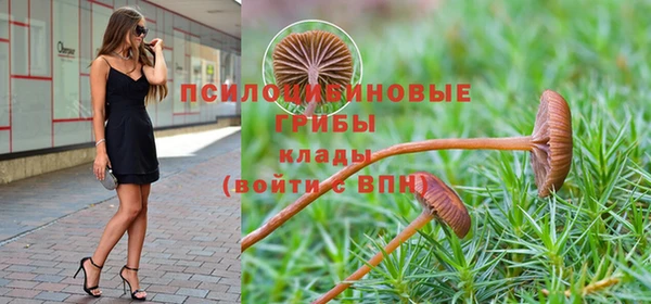 a pvp Богородск