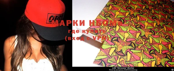 ПСИЛОЦИБИНОВЫЕ ГРИБЫ Богданович