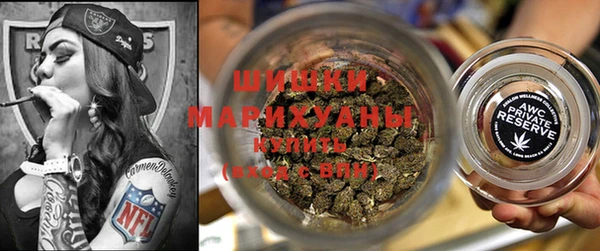 ПСИЛОЦИБИНОВЫЕ ГРИБЫ Богданович