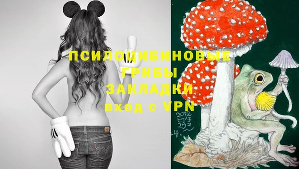 ПСИЛОЦИБИНОВЫЕ ГРИБЫ Богданович