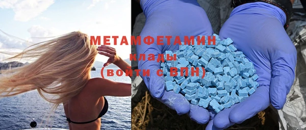 ПСИЛОЦИБИНОВЫЕ ГРИБЫ Богданович