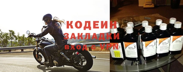 ПСИЛОЦИБИНОВЫЕ ГРИБЫ Богданович