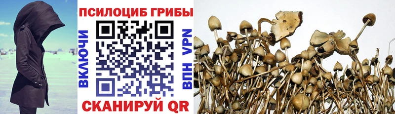 MEGA ССЫЛКА  Липецк  Галлюциногенные грибы Psilocybine cubensis 